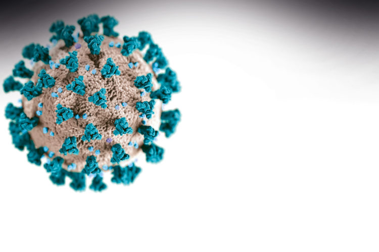 Virus-Bild Mikroskopenaufnahme